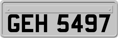GEH5497