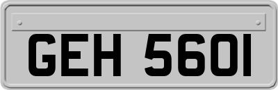 GEH5601