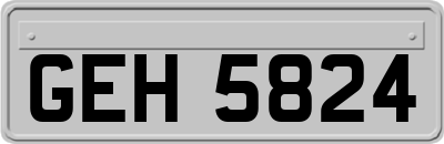 GEH5824