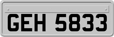 GEH5833