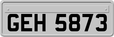 GEH5873