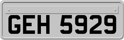GEH5929