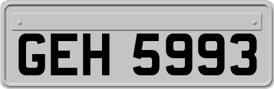 GEH5993