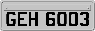 GEH6003