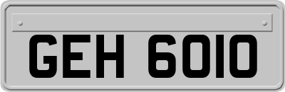 GEH6010