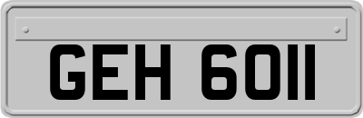 GEH6011