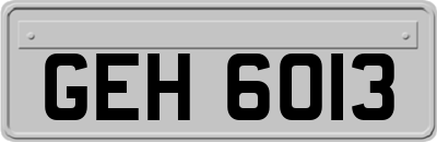 GEH6013