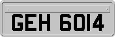 GEH6014