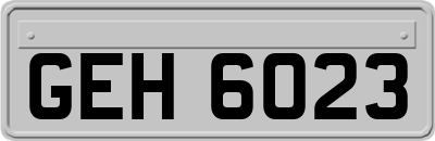 GEH6023