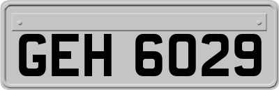 GEH6029