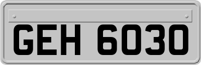 GEH6030