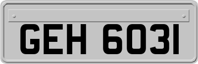 GEH6031