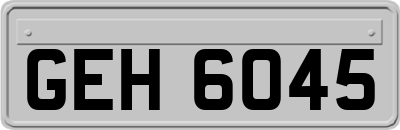 GEH6045
