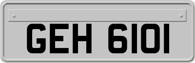 GEH6101