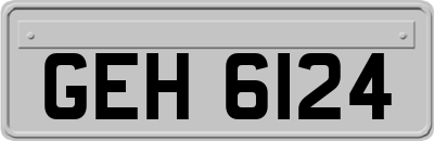 GEH6124