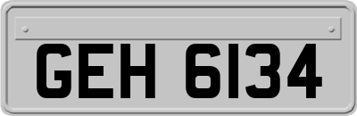 GEH6134