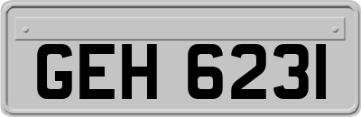 GEH6231