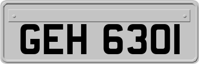 GEH6301
