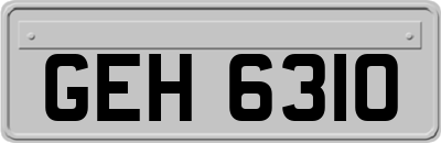 GEH6310