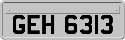 GEH6313