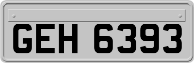 GEH6393