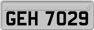 GEH7029