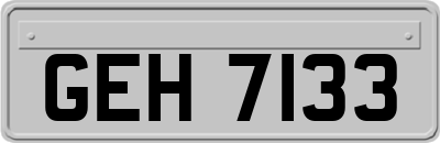 GEH7133