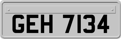 GEH7134