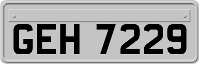 GEH7229