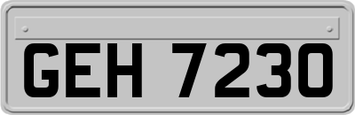 GEH7230