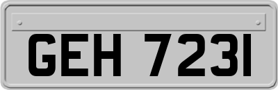 GEH7231