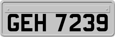 GEH7239