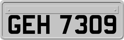 GEH7309