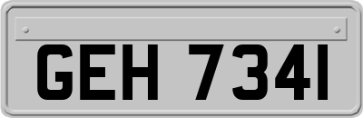 GEH7341