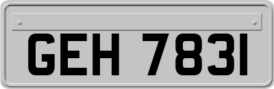 GEH7831