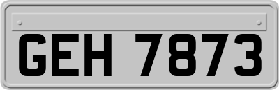 GEH7873