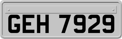 GEH7929