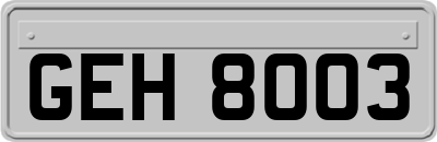 GEH8003