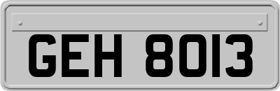 GEH8013