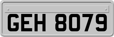 GEH8079