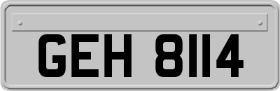 GEH8114