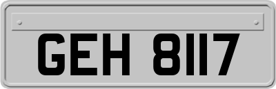 GEH8117