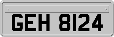 GEH8124