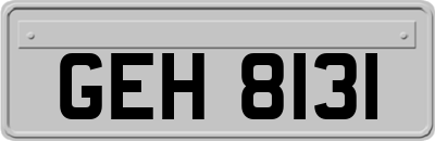 GEH8131