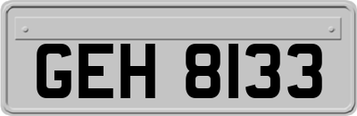 GEH8133