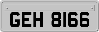 GEH8166