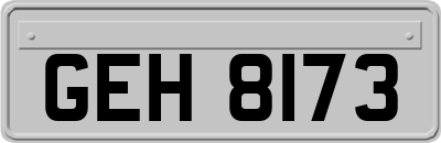 GEH8173