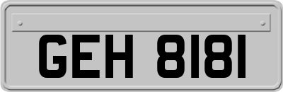 GEH8181