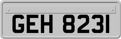 GEH8231