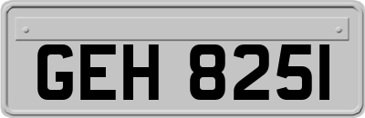GEH8251